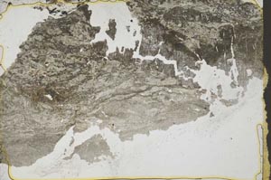 Plane Polarized, S41178