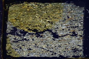 Cross Polarized, S41179