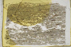 Plane Polarized, S41179