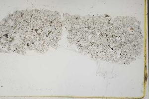Plane Polarized, S41197
