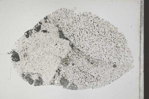 Plane Polarized, S41220