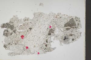 Plane Polarized, S41227