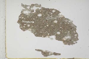 Plane Polarized, S41231
