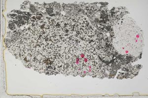 Plane Polarized, S41237