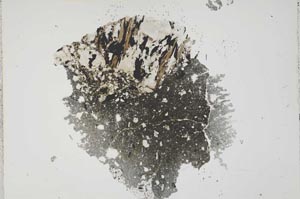Plane Polarized, S41242