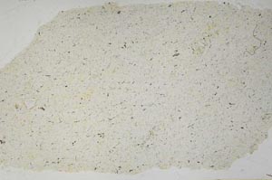 Plane Polarized, S41256/A