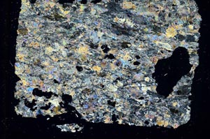 Cross Polarized, S41278