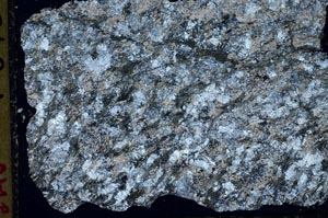 Cross Polarized, S41282