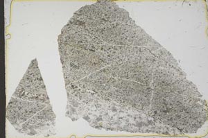 Plane Polarized, S41287