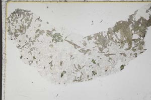 Plane Polarized, S41294