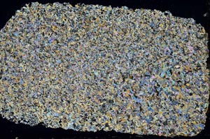 Cross Polarized, S41295