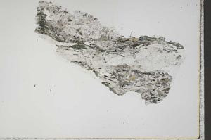 Plane Polarized, S41297
