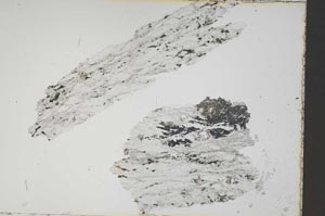 Plane Polarized, S41298