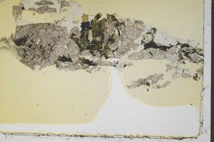 Plane Polarized, S41301