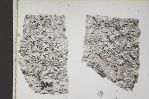 Plane Polarized, S41303