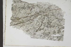 Plane Polarized, S41314
