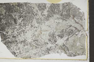 Plane Polarized, S41316