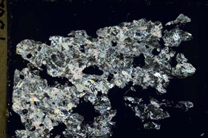 Cross Polarized, S41322
