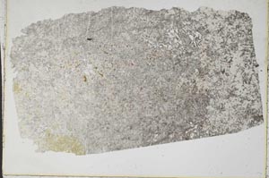 Plane Polarized, S41323