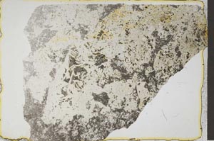 Plane Polarized, S41323/A