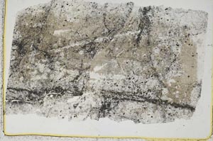 Plane Polarized, S41325