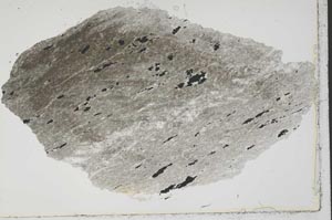 Plane Polarized, S41326