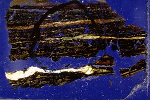 Cross Polarized, S41341