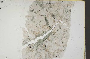 Plane Polarized, S41345