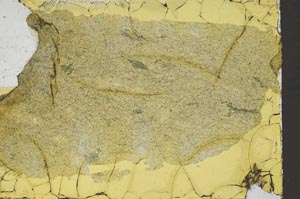 Plane Polarized, S41347