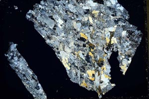 Cross Polarized, S41350