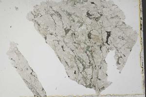 Plane Polarized, S41350