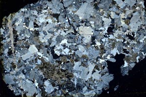 Cross Polarized, S41351