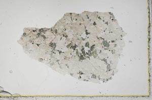 Plane Polarized, S41352