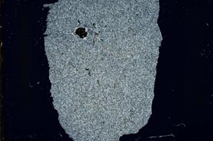 Cross Polarized, S41353