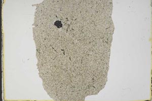 Plane Polarized, S41353