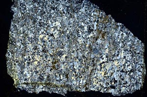 Cross Polarized, S41354