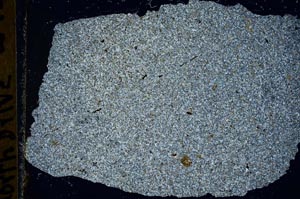 Cross Polarized, S41355