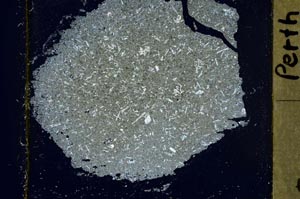 Cross Polarized, S41356