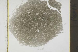 Plane Polarized, S41356