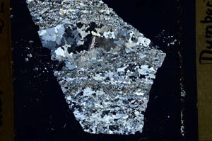 Cross Polarized, S41369