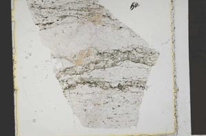 Plane Polarized, S41369