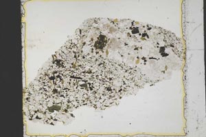 Plane Polarized, S41370