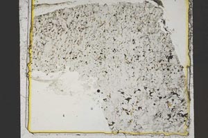 Plane Polarized, S41371