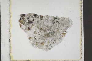 Plane Polarized, S41372