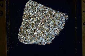 Cross Polarized, S41373