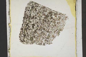 Plane Polarized, S41373