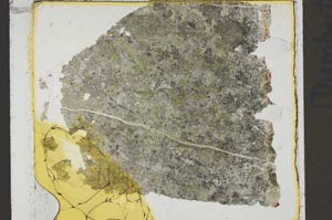 Plane Polarized, S41375