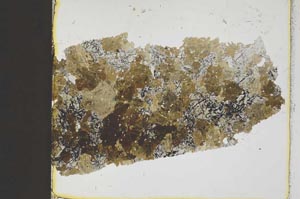 Plane Polarized, S41376