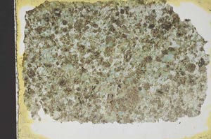 Plane Polarized, S41377