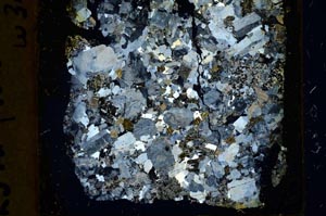 Cross Polarized, S41379